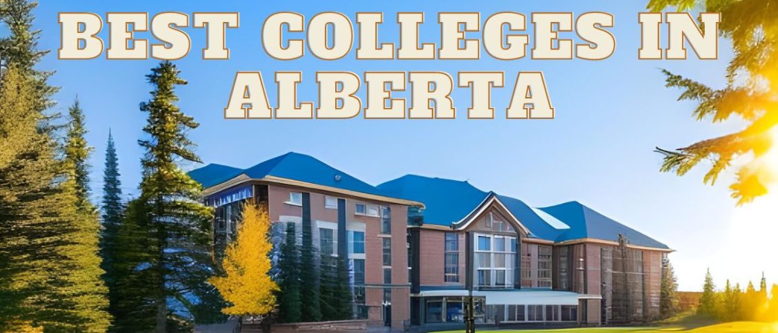 best colleges in Alberta for international students in 2023