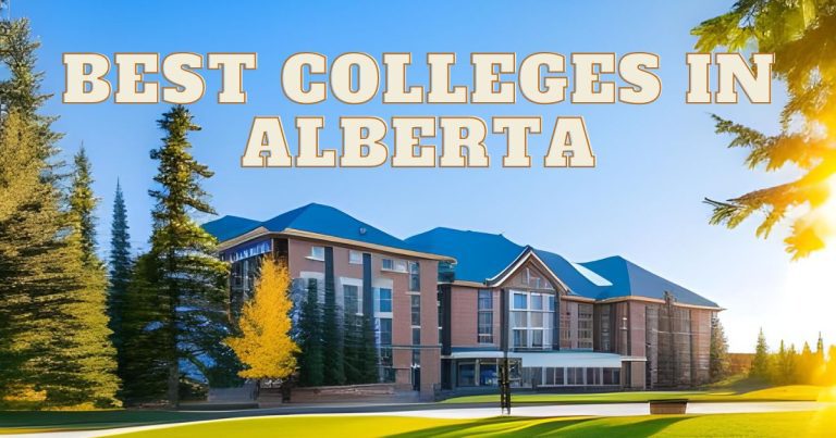 best colleges in Alberta for international students in 2023