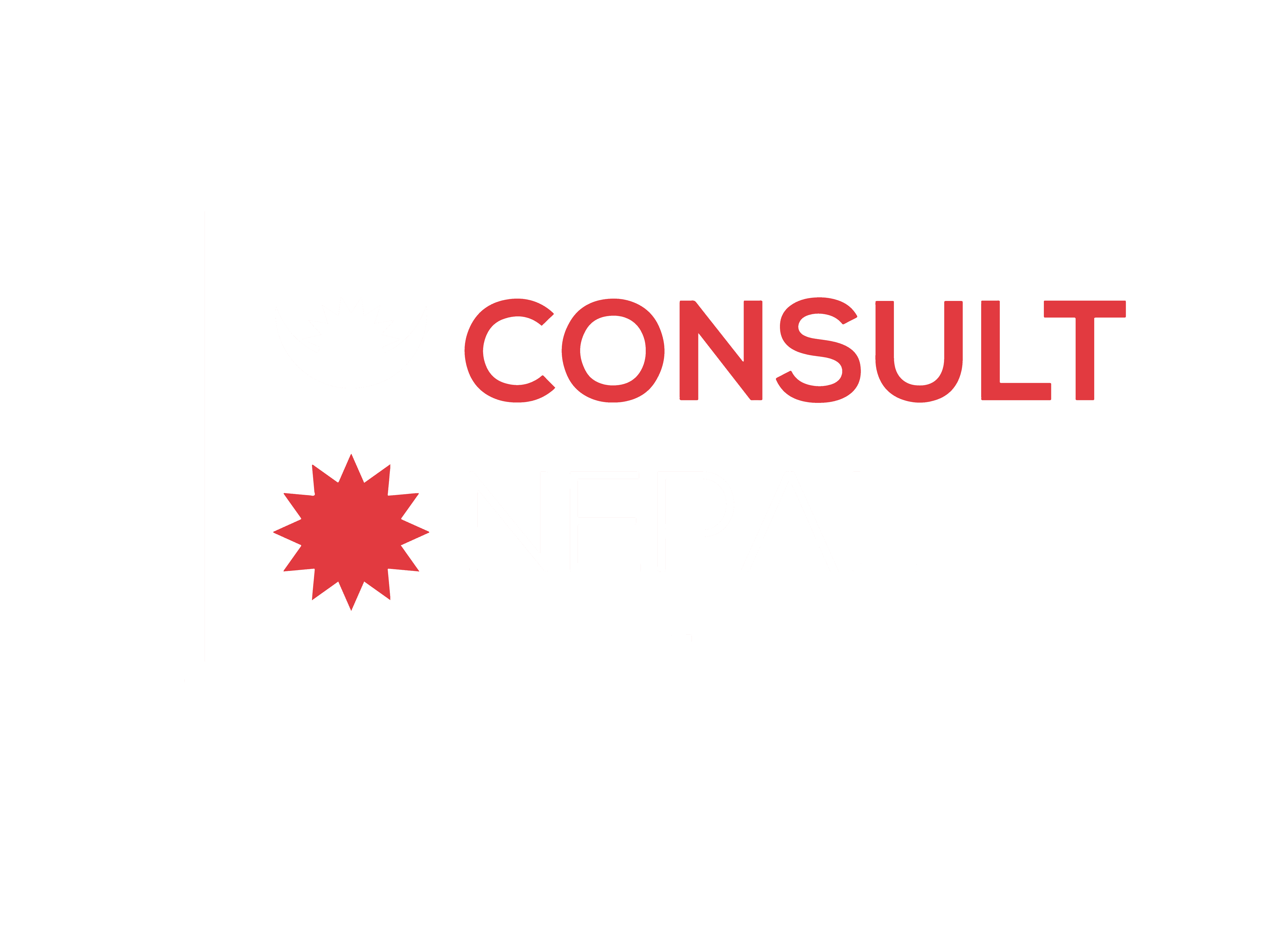 Logo of Consult Nepal